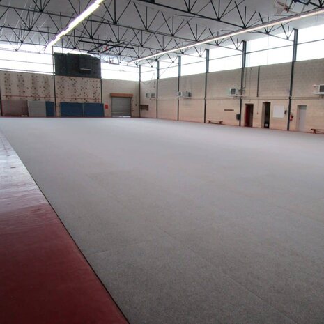 Sporvloerbeschermtegel HallProtect XXL
