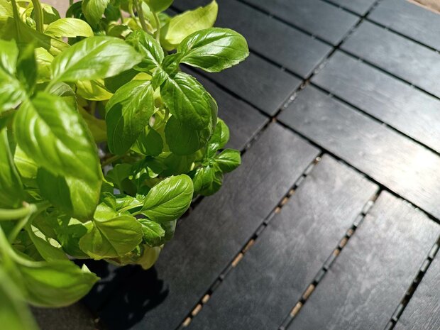 BoFudra balkonvloer 12 mm-houtlook- donker eiken