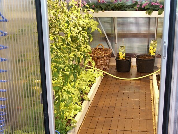 BoFudra balkonvloer 12 mm-houtlook- donker eiken