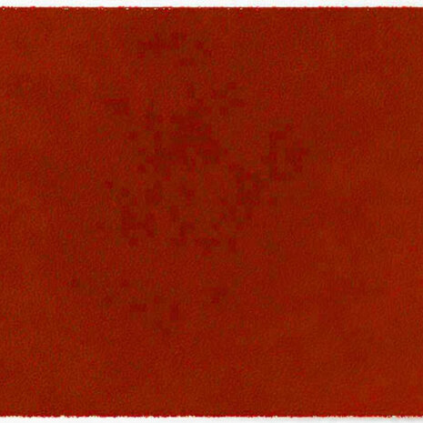 ColorStar Earth binnendeurmat-terracotta-85x115 cm