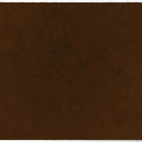 ColorStar Earth binnendeurmat-walnoot-85x150 cm