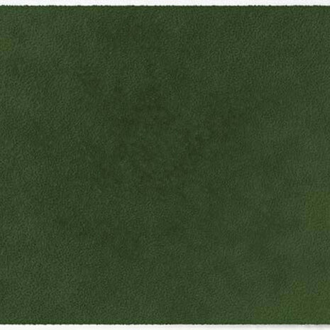 ColorStar Forest binnendeurmat-olive-85x150 cm