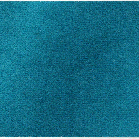 ColorStar- Sea- binnendeurmat-turkoois-85x150 cm