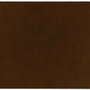 ColorStar Earth binnendeurmat-walnoot-85x115 cm