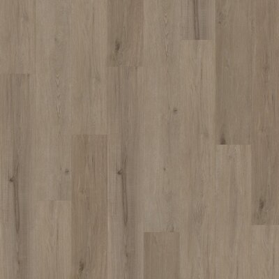 Speciale Aanbieding PVC klikvloer Venus 0.55 Aspen Dark Oak Greige Speciale Aanbieding PVC klikvloer Venus 0.55 Aspen Dark Oak Greige