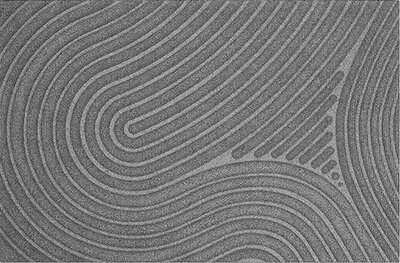 Deurmat WaterHog Fingerprint Grey 55x85 cm
