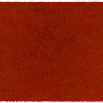 ColorStar Earth binnendeurmat-terracotta-60x85 cm