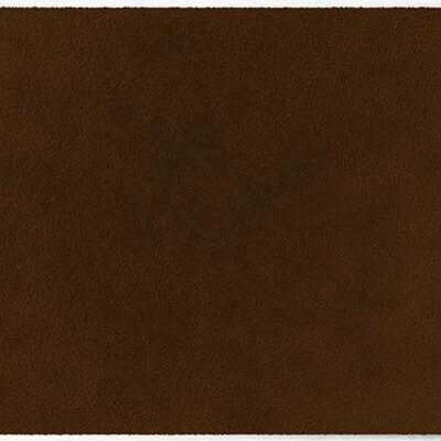 ColorStar Earth binnendeurmat-walnoot-85x150 cm