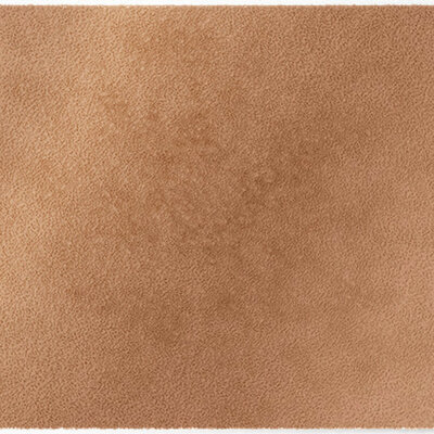 ColorStar Earth binnendeurmat-lichtbruin-85x115 cm