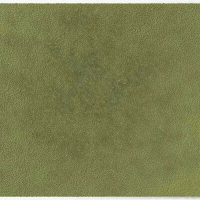 ColorStar Forest binnendeurmat-light-sage-85x115 cm