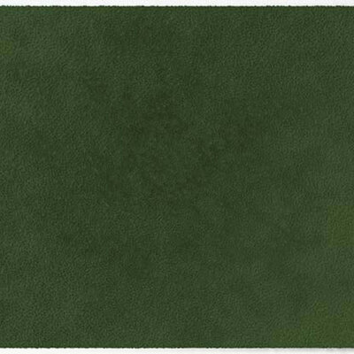 ColorStar Forest binnendeurmat-olive-85x150 cm