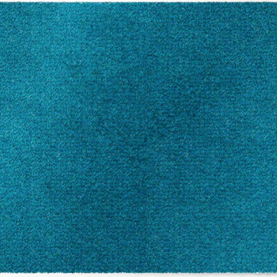 ColorStar- Sea- binnendeurmat-turkoois-85x115 cm